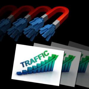 Drive niche website traffic to you web page - Best Web Traffic service
